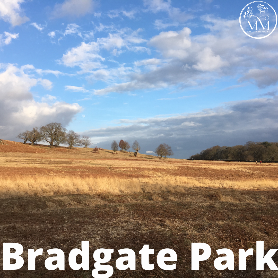 Bradgate Park
