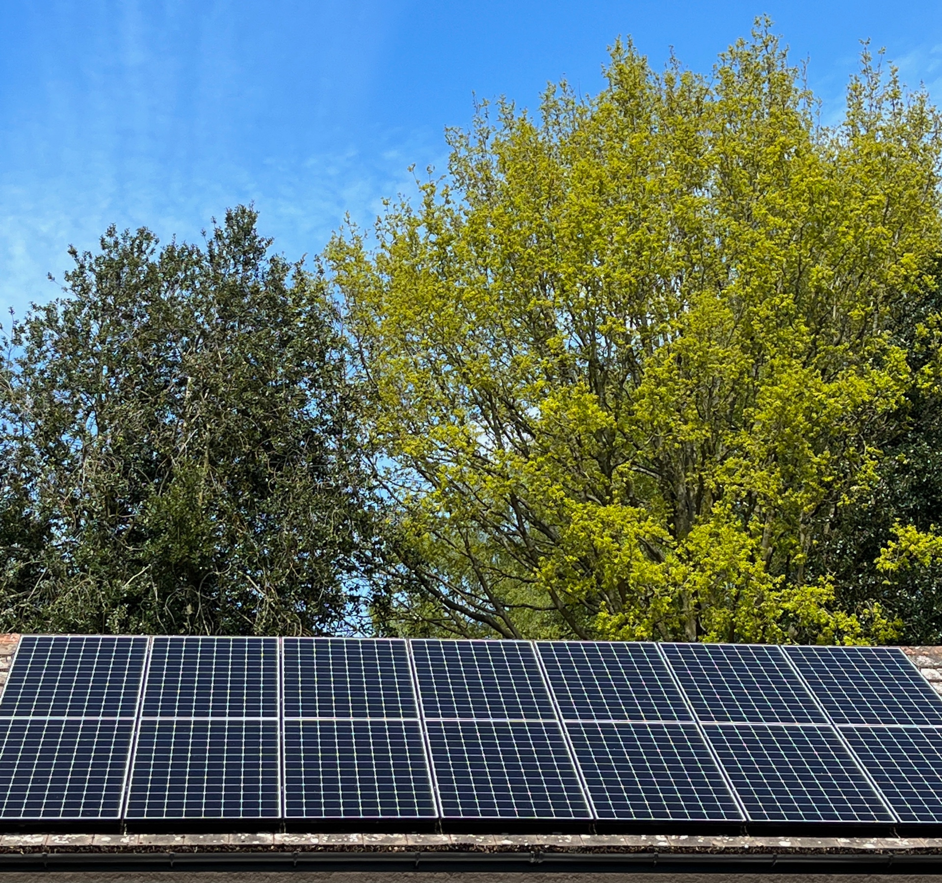 Solar Panels contributing to Mallory Meadows sustainability initiative