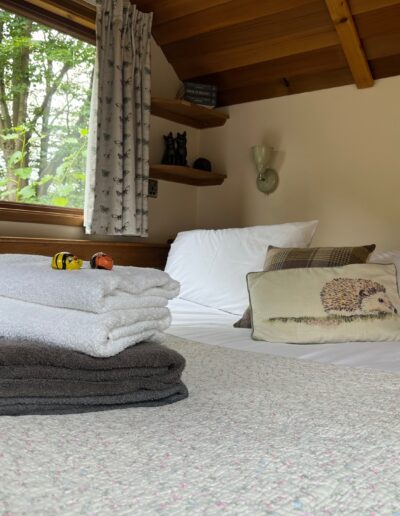 Hedgehog King Sized Bed