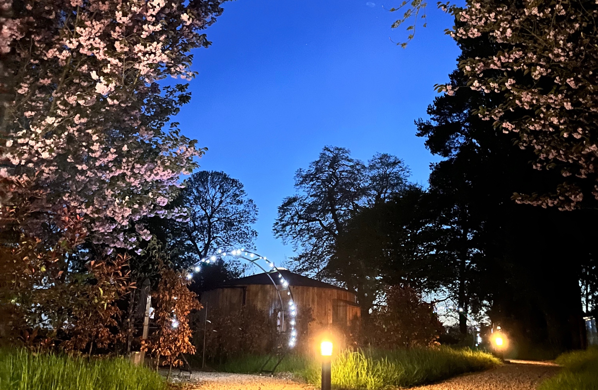Roundhouse and cherry blossom beautifully lit under the Leicestershire night sky