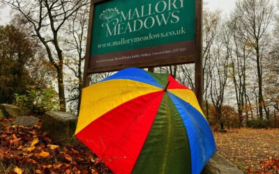 Rainy day activities when staying at Mallory Meadows.