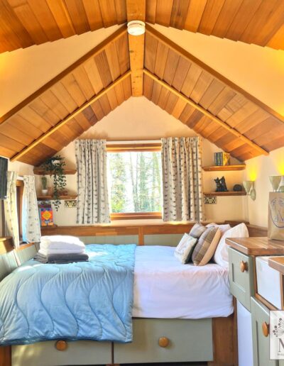 Hedgehog cabin on a sunny February morning 2023