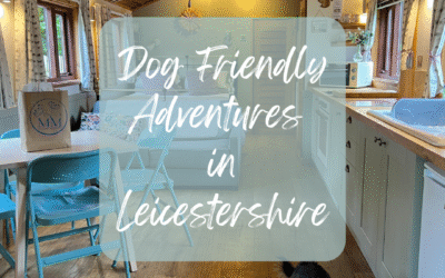 Dog Friendly Adventures in Leicestershire (UPDATED)