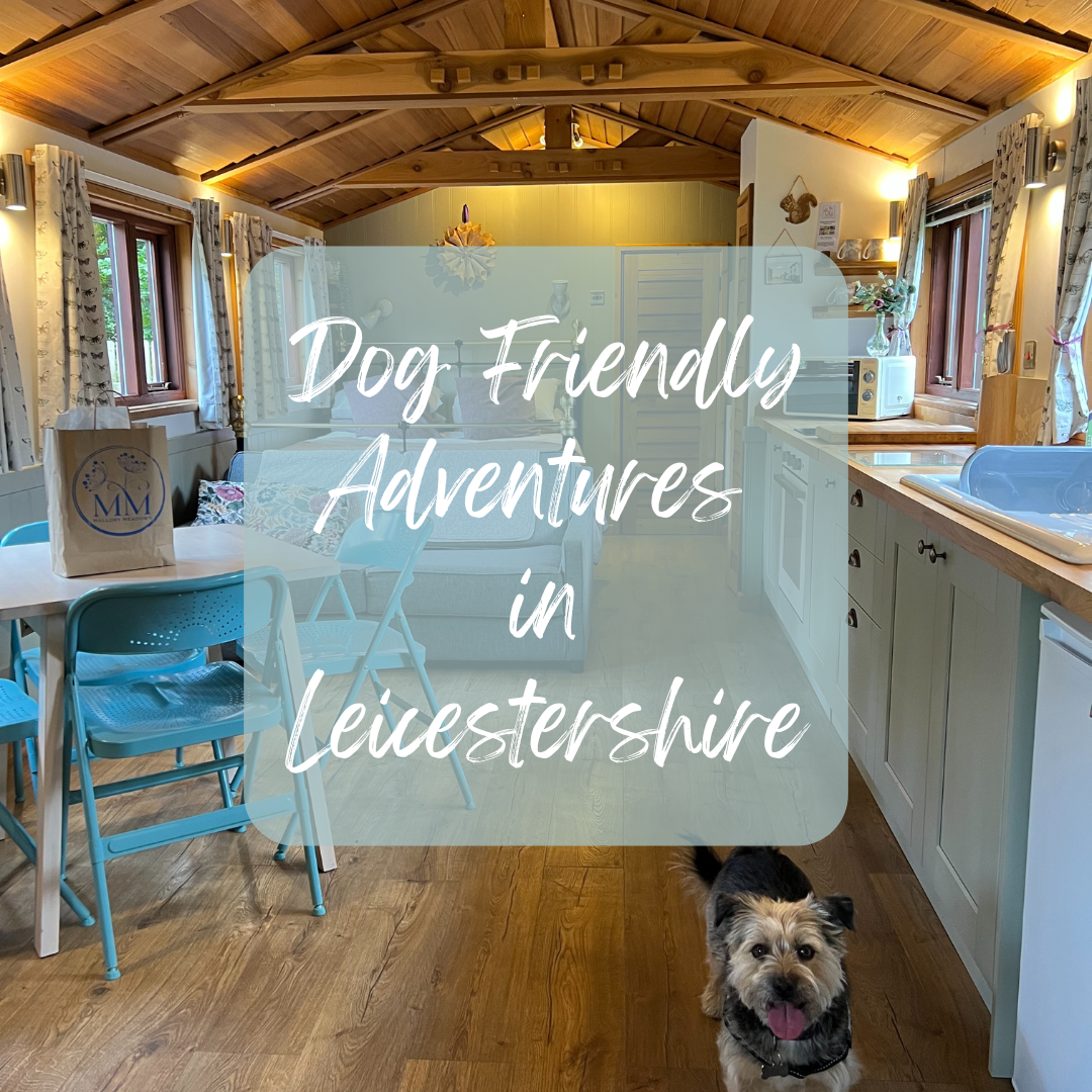 Pet friendly cabin at Mallory Meadows