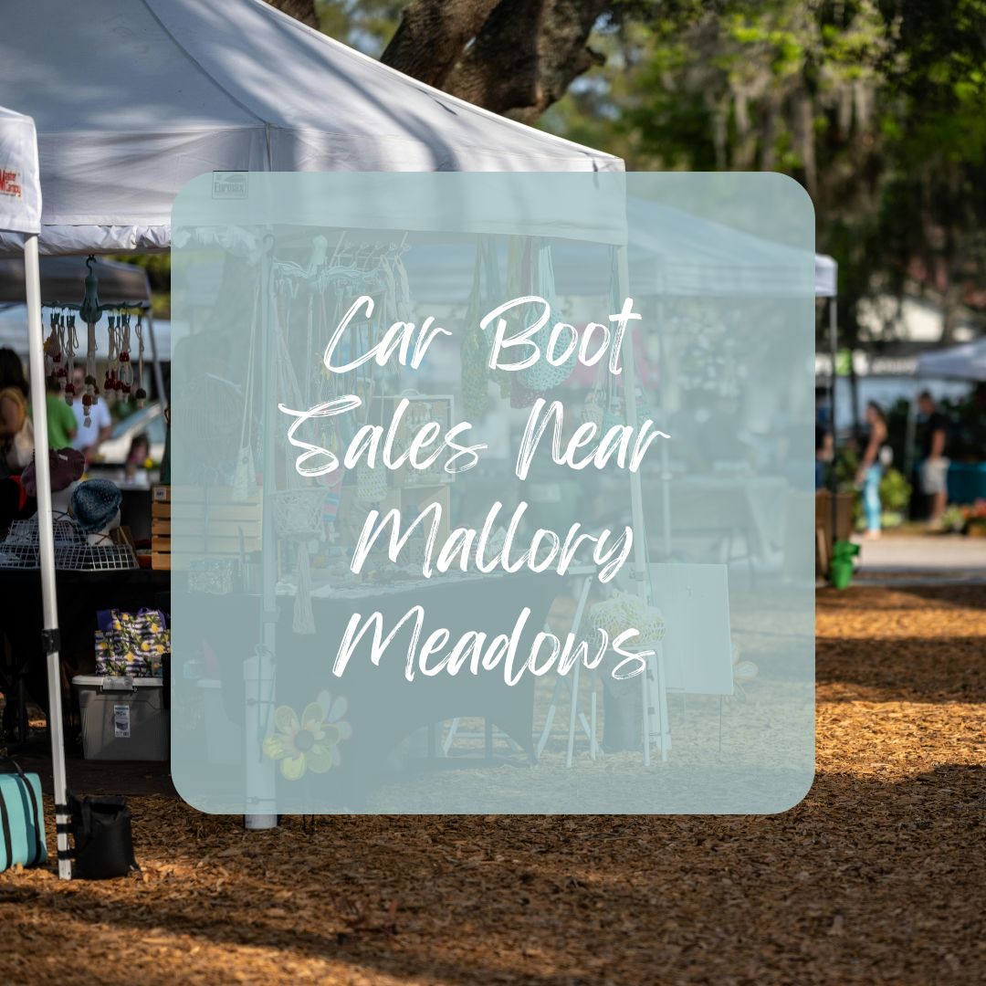 Car Boot Sale Bargains Near Mallory Meadows