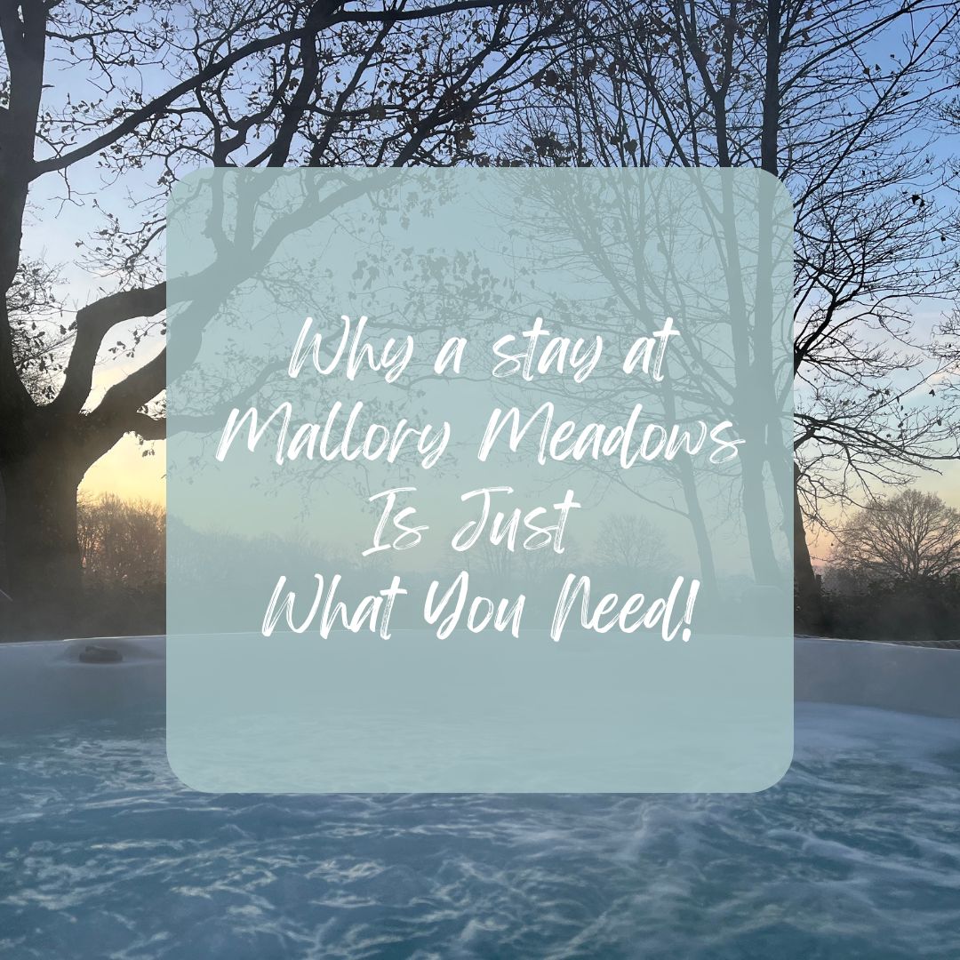 Why a stay at Mallory Meadows Is Just What You Need!