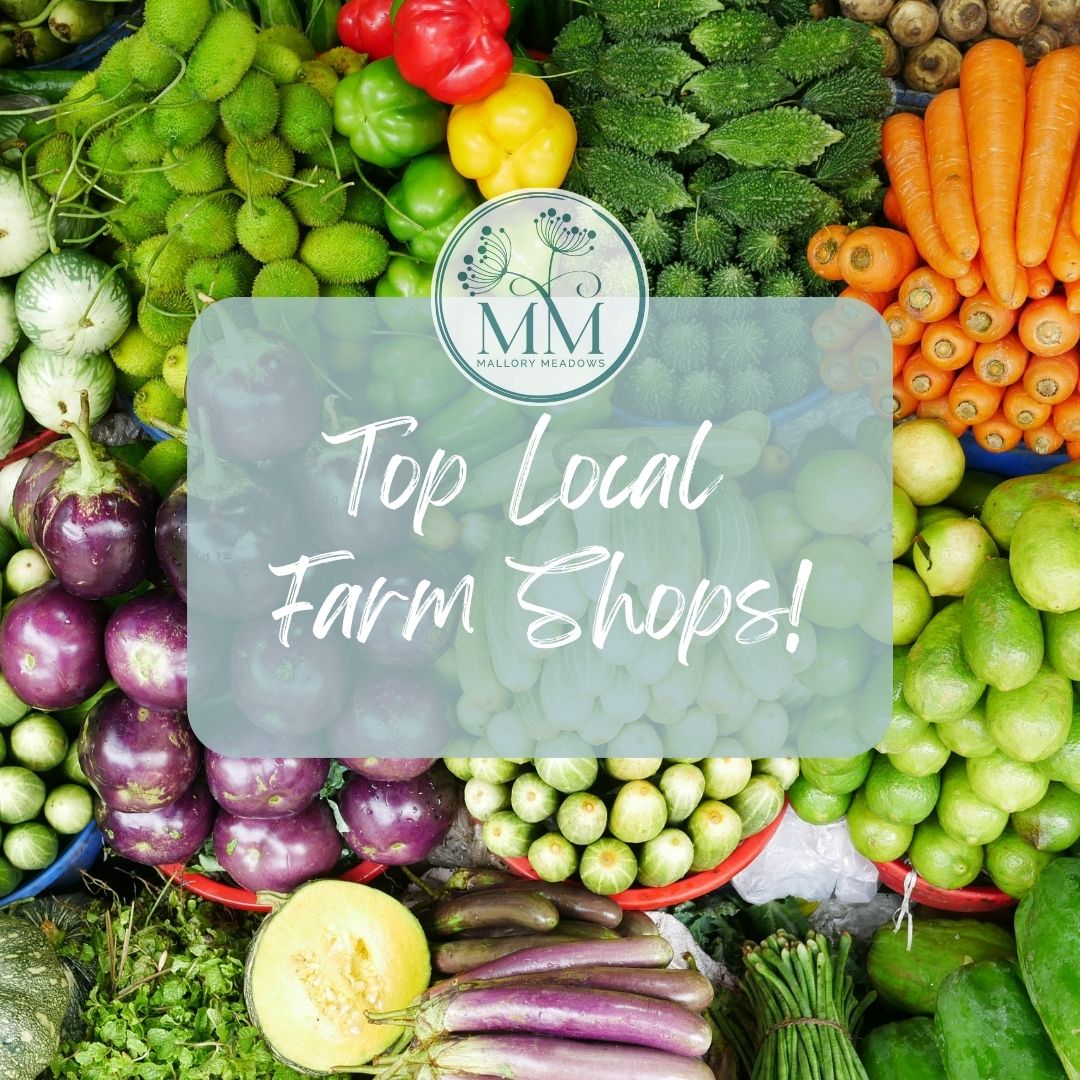 Top Local Farm Shops Near Mallory Meadows!